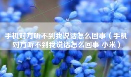 手机对方听不到我说话怎么回事(手机对方听不到我说话怎么回事 小米)