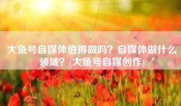 大鱼号自媒体值得做吗？自媒体做什么领域？(大鱼号自媒创作)