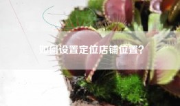 如何设置定位店铺位置？