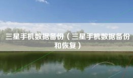 三星手机数据备份（三星手机数据备份和恢复）