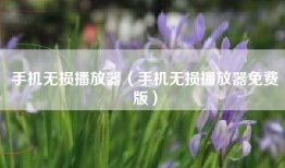 手机无损播放器（手机无损播放器免费版）