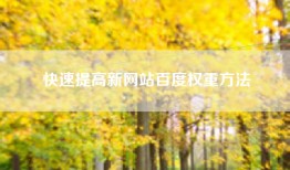 快速提高新网站百度权重方法