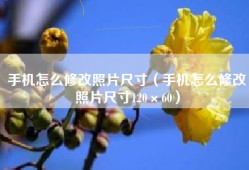 手机怎么修改照片尺寸（手机怎么修改照片尺寸120×60）