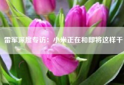 雷军深度专访：小米正在和即将这样干