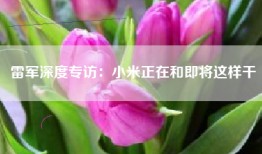 雷军深度专访：小米正在和即将这样干