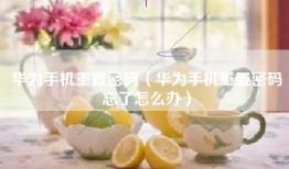 华为手机重置密码（华为手机重置密码忘了怎么办）
