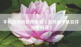 手机如何给软件加密（怎样给手机软件加密码锁）
