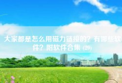 大家都是怎么用磁力链接的？有哪些软件？附软件合集 (29)