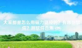 大家都是怎么用磁力链接的？有哪些软件？附软件合集 (29)