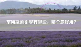 常用搜索引擎有哪些，哪个最好用？