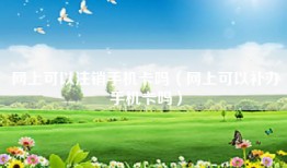 网上可以注销手机卡吗（网上可以补办手机卡吗）