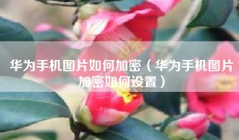 华为手机图片如何加密（华为手机图片加密如何设置）
