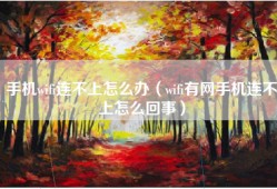 手机wifi连不上怎么办（wifi有网手机连不上怎么回事）