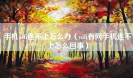 手机wifi连不上怎么办（wifi有网手机连不上怎么回事）