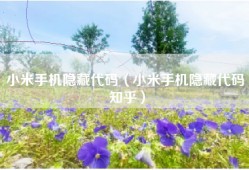 小米手机隐藏代码（小米手机隐藏代码 知乎）