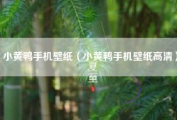 小黄鸭手机壁纸（小黄鸭手机壁纸高清）