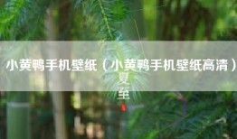 小黄鸭手机壁纸（小黄鸭手机壁纸高清）