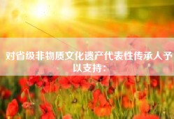 对省级非物质文化遗产代表性传承人予以支持：