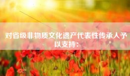 对省级非物质文化遗产代表性传承人予以支持：