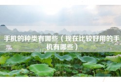 手机的种类有哪些（现在比较好用的手机有哪些）