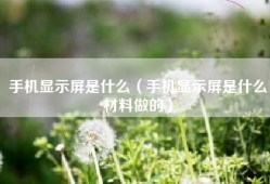 手机显示屏是什么（手机显示屏是什么材料做的）