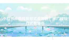 小红书广告投放形式有哪些？推广投放方式有哪些