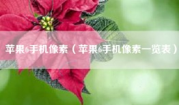 苹果6手机像素（苹果6手机像素一览表）