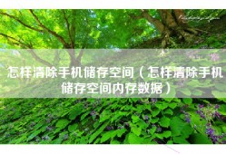 怎样清除手机储存空间（怎样清除手机储存空间内存数据）
