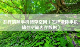 怎样清除手机储存空间（怎样清除手机储存空间内存数据）
