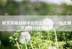 软文发稿自助平台怎么发稿？一站式操作流程与技巧详解