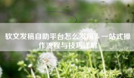 软文发稿自助平台怎么发稿？一站式操作流程与技巧详解