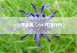 2005年手机（2005年排行榜）
