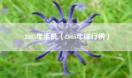 2005年手机（2005年排行榜）