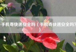 手机寄快递安全吗（手机寄快递安全吗？）