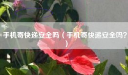 手机寄快递安全吗(手机寄快递安全吗?)
