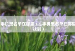 手机黑名单在哪里（0p手机黑名单在哪里找到）