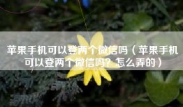 苹果手机可以登两个微信吗（苹果手机可以登两个微信吗？怎么弄的）