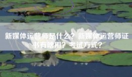 新媒体运营师是什么？新媒体运营师证书有啥用？考试方式？