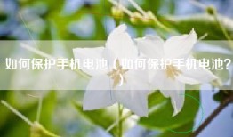 如何保护手机电池（如何保护手机电池？）