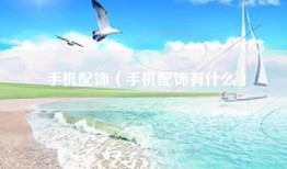手机配饰（手机配饰有什么）
