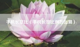 手机长宽比（手机长宽比例怎么算）
