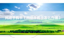 网络手机卡（网络手机卡怎么办理）