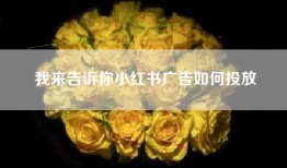 我来告诉你小红书广告如何投放