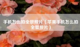 手机怎么拍全景照片（苹果手机怎么拍全景照片）