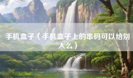 手机盒子（手机盒子上的串码可以给别人么）