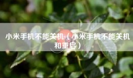 小米手机不能关机（小米手机不能关机和重启）