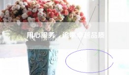 用心服务　追求卓越品质