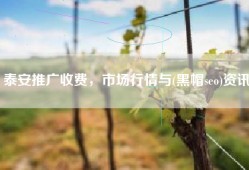泰安推广收费，市场行情与(黑帽seo)资讯