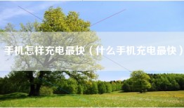 手机怎样充电最快（什么手机充电最快）