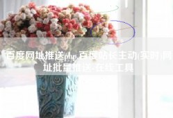 百度网址推送php,百度站长主动(实时)网址批量推送-在线工具